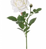 Rosa de luxe "Fleuri" ,1 flor, Ø 12cm, 1 capullo, 20 hojas, 70cm