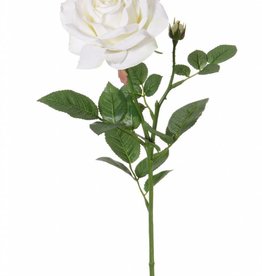 Rose de luxe "Fleuri", Ø 12cm, 1 Knospe, 20 Blätter, 70cm