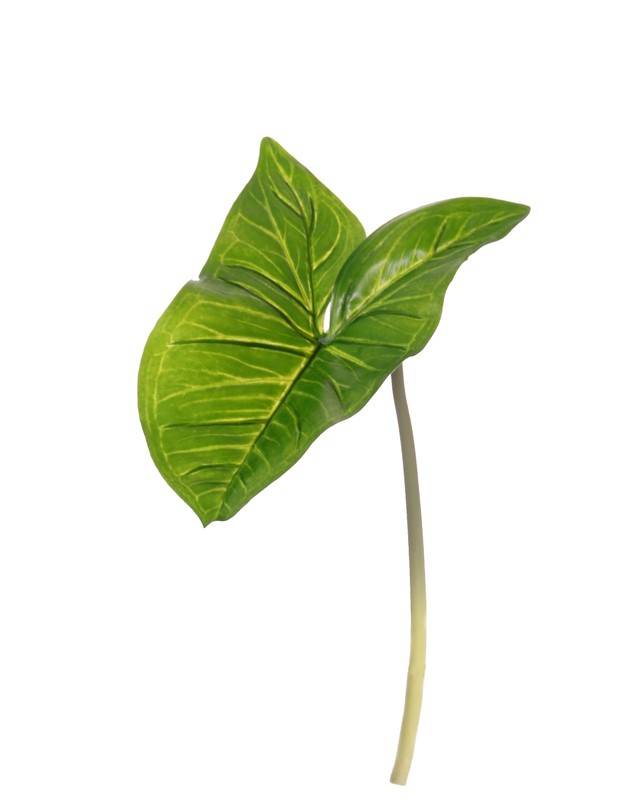 Arum Maculatum leaf (Syngonium) "Naturals" (PE) 15x23cm, 53cm