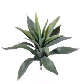 Aloe Vera -  star bush - , Ø 20cm,  18 hojas, 30 cm