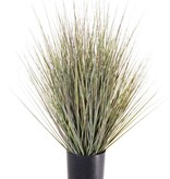 Grass bush in pot, 61cm