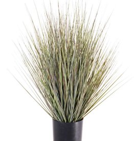 Grasbush in pot, 61cm