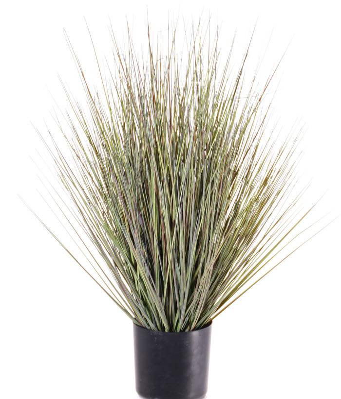 Grasbush in pot, 61cm