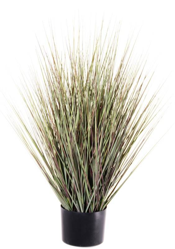 Grass bush in pot, 76cm