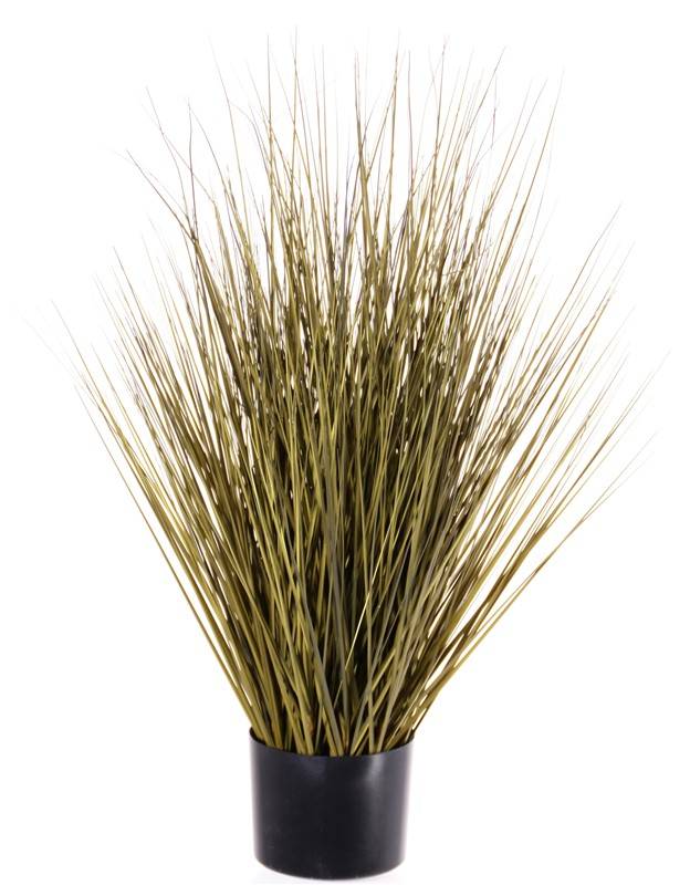 Grass bush in pot, 76cm