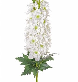 Delphinium "Jade Collection", ø15cm, flor 45cm, 3 hojas 95cm