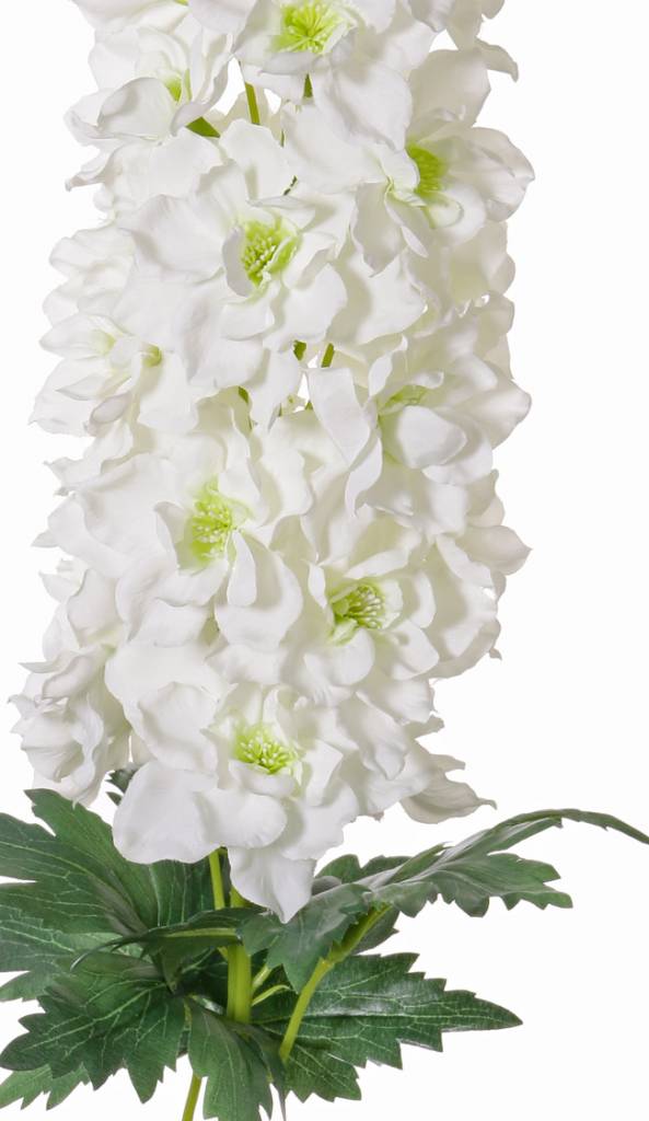 Delphinium JUMBO "Jade Collection", Ø 15cm, flr45cm, 3lvs total 95cm