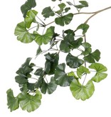 Ginkgo Biloba (Japanese Temple tree) bladtak x52lvs, 70cm - fire retardant