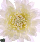 Kugelchrysantheme "New Art",Ø 16cm mit 3 Blaettern 76cm