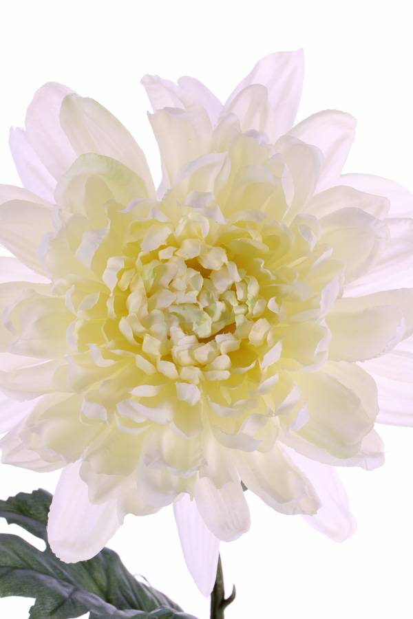 Kugelchrysantheme "New Art",Ø 16cm mit 3 Blaettern 76cm