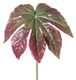 Fatsia-Blatt,  Ø 33cm, beschichtet, 81cm