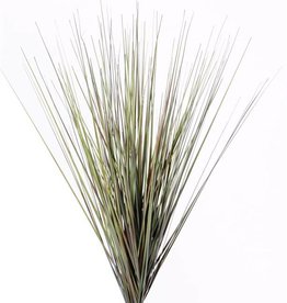 Grassbush, 66cm