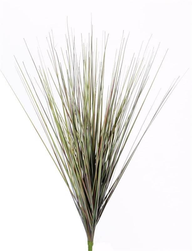 Grassbush, 66cm