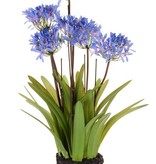 Agapanthus, 6 flores (174 flrs & 54 capullos), 27 hojas de plástico, art soil, 80cm