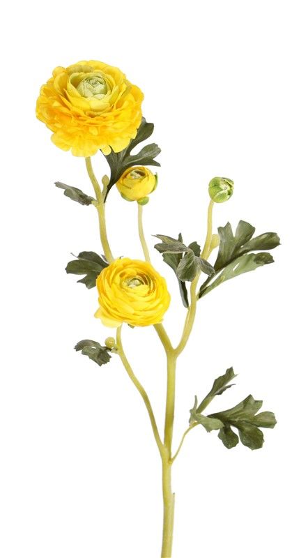 Ranonkel (Ranunculus) "Glory", 3 flowers, 4 buds & 12 leaves, flocked stem, 65 cm