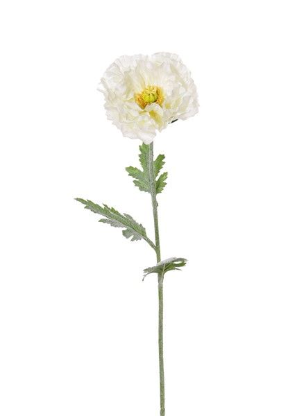 Papaver (Klaproos) double, "satin" x1, x3lvs, ø12cm, x6petals, flocked, 74cm