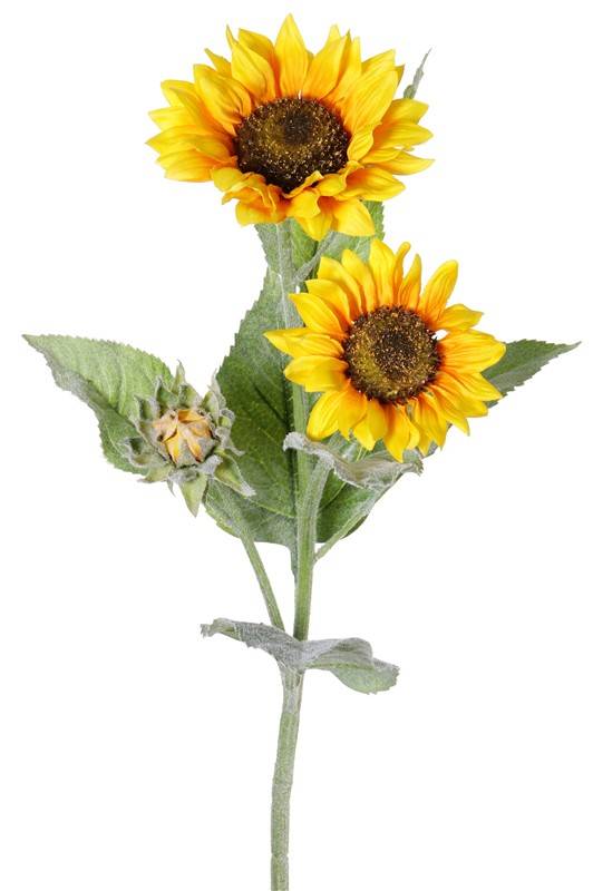 Girasol, 2 flores, (Ø 12/15cm), 1 brote, 7 hojas,  86cm