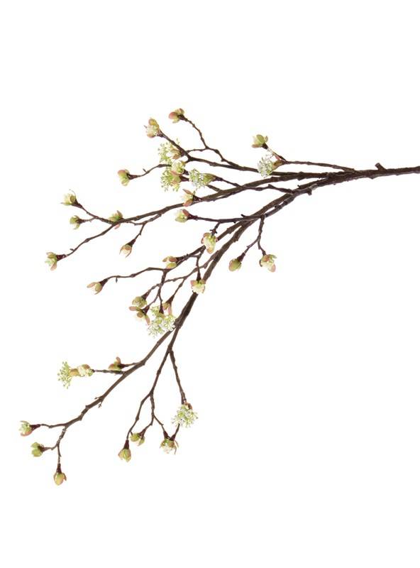 Rama de arce (Acer) branch, 27 frutas, 8 flores, 111cm