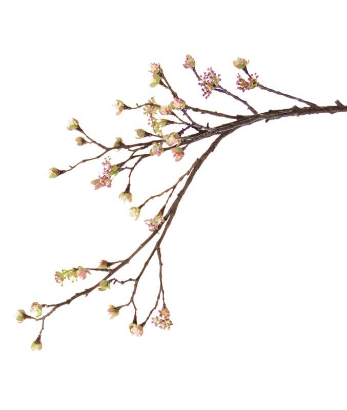 Rama de arce (Acer) branch, 27 frutas, 8 flores, 111cm