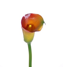 Calla Lilie (Zantedeschia) small, ø5*6.5cm, 55cm