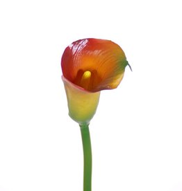 Calla Lily (Zantedeschia) small, ø5*6.5cm, 55cm, full plastic