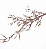 Magnolienzweig, mit 34 Knospen (7 davon offen), 104cm