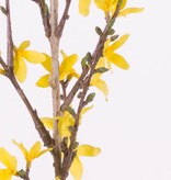 Forsythiatak  met 41 bloemen,  88 cm grijs/groene steel