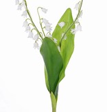 Lily of the valley (Convallaria majalis) bundel x3, x29bells, x2 coated lvs, 36cm