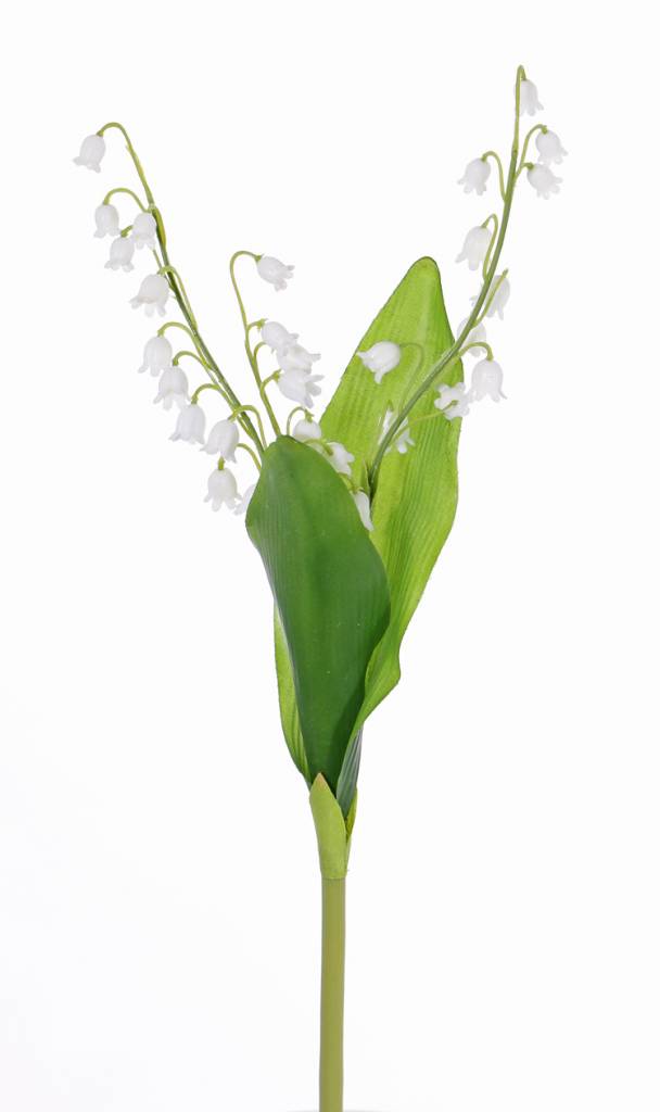 Lirio de los valles (Convallaria majalis) planta de 3 flores,2 hojas y 29 flores