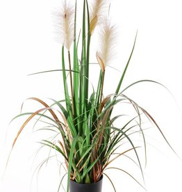 Hierba floreciente x3 81 cm en maceta de plástico