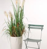 Hierba floreciente x3 81 cm en maceta de plástico