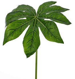 Fatsia hoja, ø 33 cm, recubierta, 81 cm