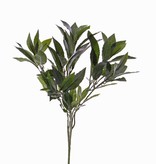 Lorbeerblattzweig mit 74 Blättern,  48 cm, schwer entflammbar