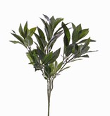 rama de Laurel, 74 hojas, 48 cm, fuego retardante