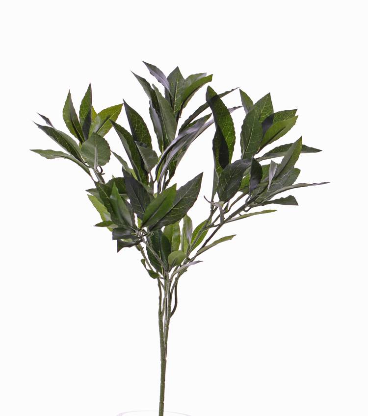 Lorbeerblattzweig mit 74 Blättern,  48 cm, schwer entflammbar