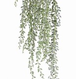 Senecio herreianus (erwtenplant),  111 blaadjes, full plastic, grijsgroen, 85 cm