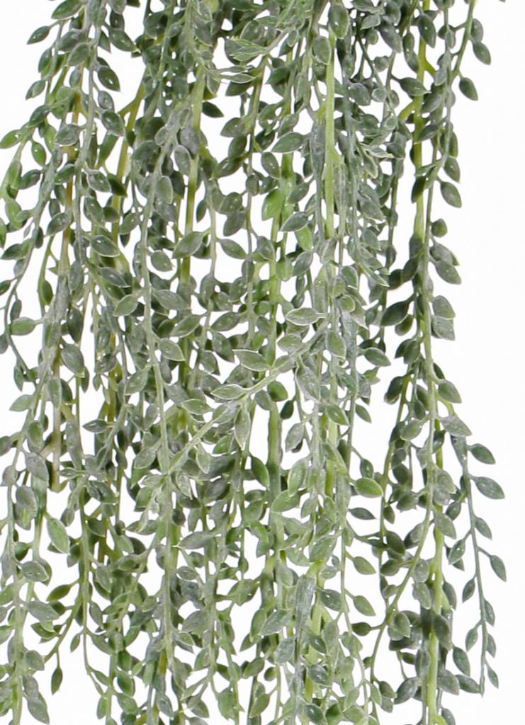 Planta colgante artificial Senecio Radicans - Konzept Store®