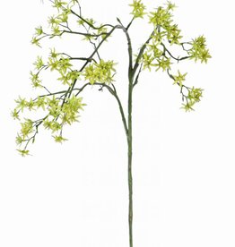 Deutzia (Bruidsbloem) met 92 bloemen, 90 cm