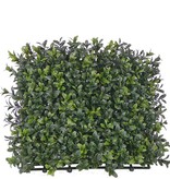 Boxwood hedge outdoor "natural" element UV-SAFE 25*25cm, 300tips - special offer