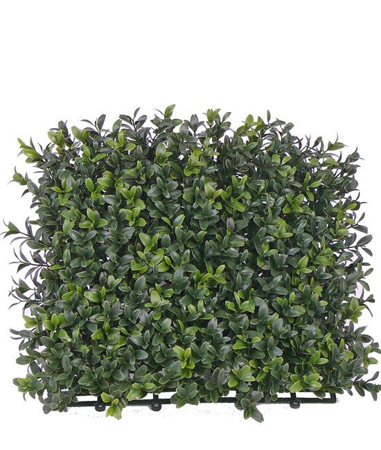Boxwood hedge outdoor "natural" element UV-SAFE 25*25cm, 300tips - special offer