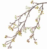 Ahornzweig, (Acer) , 10 Blumengruppen & 15 Gruppen mit Beeren, 96 cm