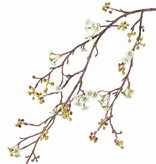 Maple fruit (Acer) , 10 clusters of flowers & 15 clusters of berries, 96 cm