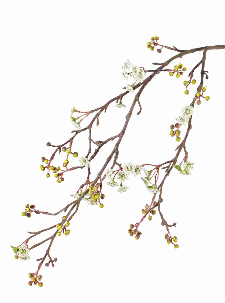 Ahornzweig, (Acer) , 10 Blumengruppen & 15 Gruppen mit Beeren, 96 cm