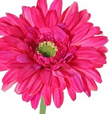 Gerbera, Ø 12cm,  63 cm