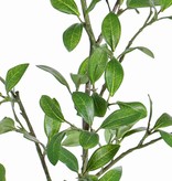 Ligusterblattzweig, mit 113 Blättern (43 Sets), 104cm