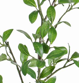 Ligusterblattzweig, mit 113 Blättern (43 Sets), 104 cm