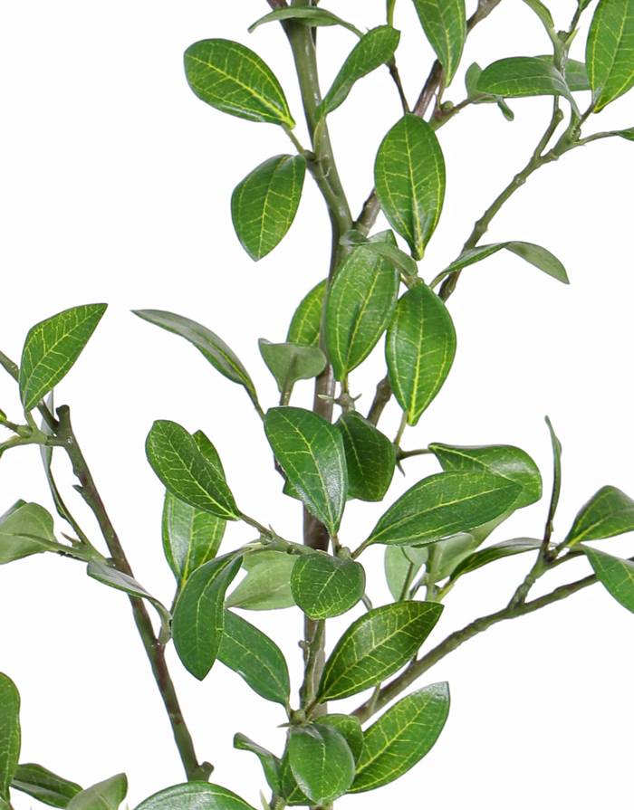 Ligusterblattzweig, mit 113 Blättern (43 Sets), 104cm