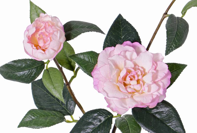 rama de Camellia 'de luxe' 2 flores, 1 capullo & 22 hojas, tallo cubierto, REAL TOUCH, 86cm