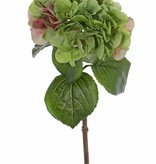 Hydrangea "Sensitive", flowerhead: Ø 18cm, 52 petals & 5 lvs, 60cm