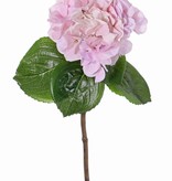 Hortensie "Sensitive", Ø 18cm, 52 Blüten, 5 Blätter, 60cm
